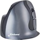 Vertikalmaus BakkerElkhuizen Evoluent D wireless, ergonomisch, USB, 5 Tasten inkl. Scrollrad, verchromt