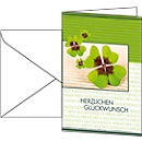 10 gelukwenskaarten "Fortune" + 10 enveloppen