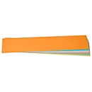 Accessoires pour présentation, bande de titre, 95 x 450 mm, 100 p., coloris assortis