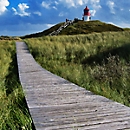 akoestisch fotopaneel, houten pad, 1500x1500 mm