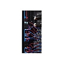 APC Stromkabelkit - power IEC 60320 C13 zu IEC 60320 C14