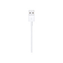 Apple Lightning-Kabel - Lightning männlich zu USB männlich