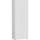 Archiefkast PALENQUE, 6 ordnerhoogten, afsluitbaar, B 800 x D 420 x H 2160 mm, lichtgrijs