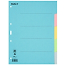 Biella Register Karton blanko A4, 5-teilig