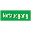 Bord nooduitgang, kunststof, langdurig lichtgevend (HLK)