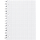 Carnet de notes, format A4, quadrillé, 5 p.