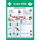 Cartel de plástico "instrucciones de primeros auxilios", 590 x 410 mm