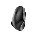 CHERRY MW 4500 LEFT - souris - noir