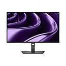 Dell Pro P P2426HE - Ohne Standfuß - LED-Monitor - 61 cm (24")