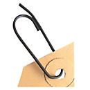 Épingle pour étiquettes volantes, ovale, 1000 p.