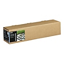 Epson Fine Art - Baumwolle - glatt matt - 490 Mikron - Natural - Rolle (61 cm x 15 m)