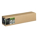 Epson Fine Art - Baumwolle - matt - 490 Mikron - Glatt-Hell - Rolle (61 cm x 15 m)