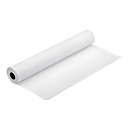 Epson Proofing Paper - Seidenmatt - harzbeschichtet - 9,9 mil - weiß - Rolle A1 (61,0 cm x 30,5 m)
