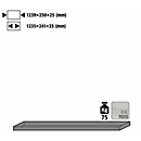 Etagère standard pour armoires à bouteilles de gaz sous pression asecos, en tôle d'acier, gris clair, L 1239 x P 250 x H 25 mm, jusqu'à 75 kg