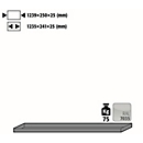 Fachboden Standard für asecos Druckgasflaschenschränke, Stahlblech, lichtgrau, B 1239 x T 250 x H 25 mm, bis 75 kg