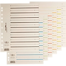 Intercalaires à découper Easy Rip PAGNA, format A4, lignes pré-tracées, 10 p., couleurs assorties