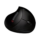 JENIMAGE EV - Vertikale Maus - ergonomisch - 5 Tasten - kabellos - kabelloser Empfänger (USB)