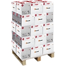 Kopierpapier Mondi IQ Economy +, DIN A4, 80 g/m², reinweiß, 1 Palette = 200 x 500 Blatt