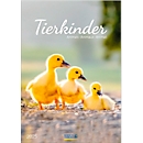 Korsch Bildkalender "Tierkinder 2025", B 235 x H 335 mm