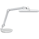 Lampe de table LED MAULintro, puissance 11 W, dimmable en continu, orientable sur 360°, 920 lm, blanc