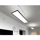 LED pendant light FRISCH-Licht, 50-65 W, 6400-8200 lm, 4000 K, height-adjustable, W 1245 x D 300 mm, white