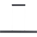 LED pendelarmatuur NILA, 20 W, 1800 lm, 2700-5000 K, CCT lichtmanagement, traploos dimbaar, met afstandsbediening