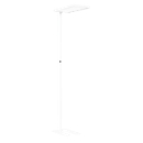 LED vloerlamp FRISCH-Licht® STL, 80 W, 10000 lm, 4000 K, direct/indirect licht, touchdimmer &amp; memoryfunctie, IP20, wit