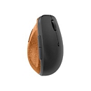 Lenovo Go - Maus - ergonomisch - Für Rechtshänder - optisch blau - 6 Tasten