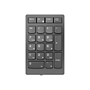 Lenovo Go Wireless Numeric Keypad - Tastenfeld - kabellos - 2.4 GHz - Tastenschalter: Scissor-Key - Storm Gray