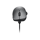 Lenovo Professional - Maus - ergonomisch - optisch blau - 6 Tasten - kabellos