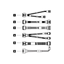 Lenovo Speicherkabelkit - für 2.5" SAS/SATA Chassis Front BP1