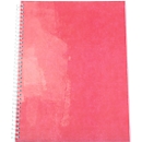 Lot de 2 blocs collège A4 Business rouge ELCO