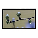MEDIUM Frame Budget type D - Leinwand - geeignet für Wandmontage - 207 cm (82") - 16:9 - mattweiß