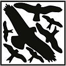 moedel window decals "Bird protection set", foil, black, W 320 x H 290 mm