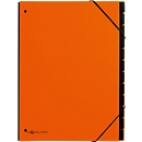 PAGNA desk organiser Trend, for DIN A4, cardboard, 12 compartments, orange