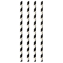 Pailles à boire Papstar Stripes, jetables, L 290 x Ø 6 mm, en papier certifié FSC®, noir et blanc, 100 pièces.