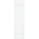 Paroi latérale en tôle perforée ORDO Professional, perforation Qg 10-38, H 2500 mm x L 800 mm, revêtement par poudre, blanc trafic RAL 9016