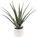 Plante artificielle meet by Paperflow Aloe Vera, avec pot en plastique, H 450 mm, PE