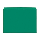 Pochettes transparentes Orgatex, A4 paysage, vert, 50 p.