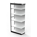 PROGRESS 2000 steel shelving unit, shelf module, rear wall, H 2250 x W 1000 x D 300 mm, silver frame