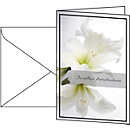 Rouwkaart Witte Amaryllis, 10 stuks