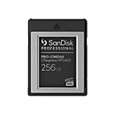 SanDisk - Flash-Speicherkarte - 256 GB - CFexpress Typ B - Schwarz