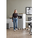 Schäfer Shop Genius Multimobil, B 450 x T 500 x H 1220 mm, Kunststoffrollladen, mit Rollen, abschließbar, lichtgrau