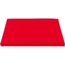 Schäfer Shop Pure Sitzkissen für Auflagedeckel und Scharnierdeckel Serie Economy 600 x 400 mm, Schaumstoff, rot