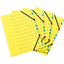 Schäfer Shop Select Dokumentenmappe, DIN A4, Gummizugverschluss, 12-teilig, Karton, gelb