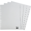 Schäfer Shop Select  Intercalaires en PP extra larges, gris, numériques, 1-31
