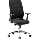 Schäfer Shop Siège de bureau Select SSI Proline Edition 10, avec accoudoirs, mécanisme synchrone, assise ergonomique, dossier filet, noir/argenté
