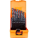 Spiralbohrer-Set Projahn HSS-R DIN 388, 25 kurze Bohrer Typ N, je 1 x Ø 1-13 mm, steigend um 0,5 mm, in Kunststoffkassette