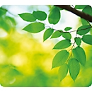 Tapis souris Earth - motif feuilles
