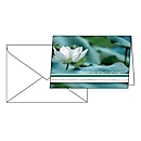 Trauerkarte Sigel „Water Lily“, Format B6, 115 x 170 mm, mit weißen & gummierten Umschlägen, grün, FSC®-Glanzkarton, 10 Stück